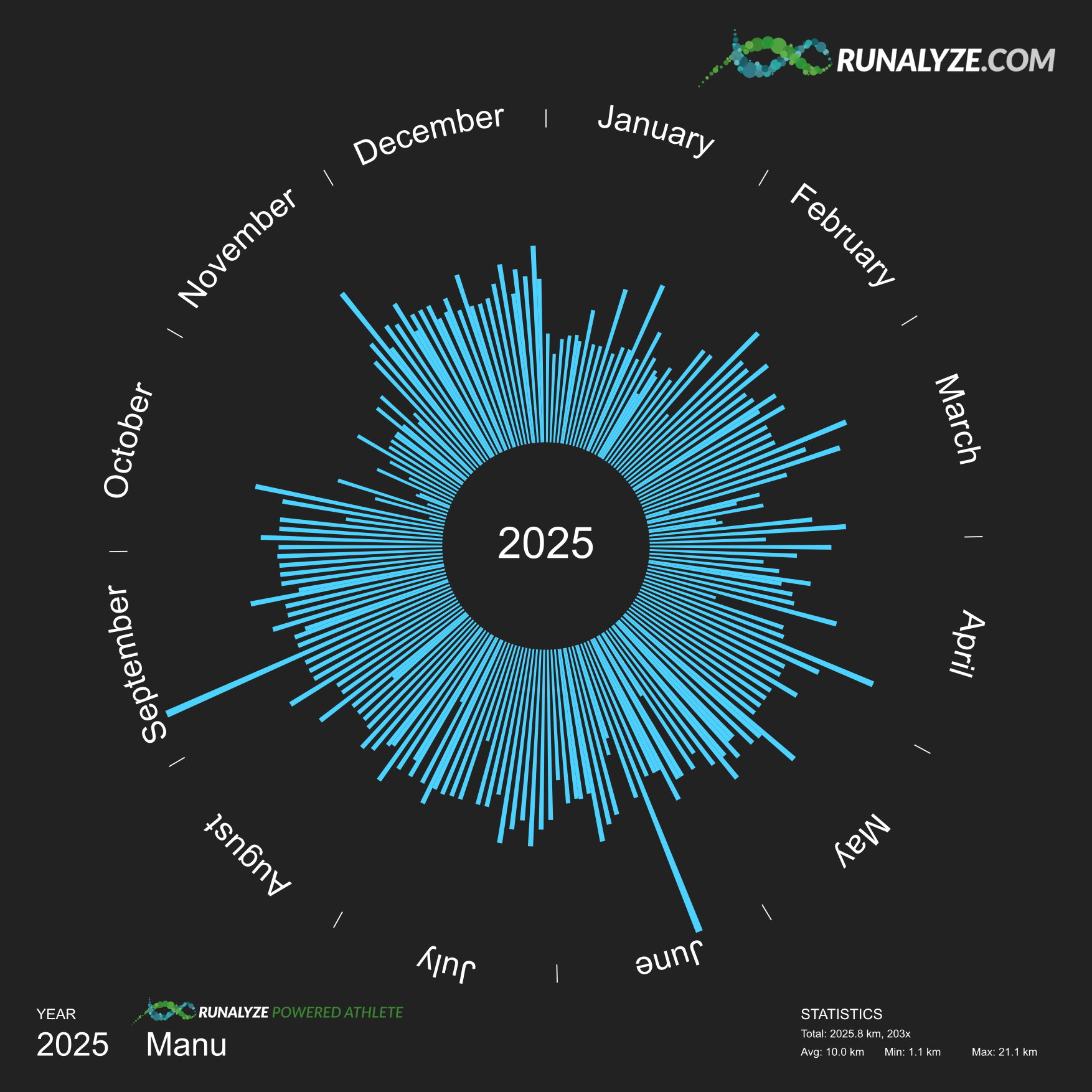 Runalyze circular poster for 2025